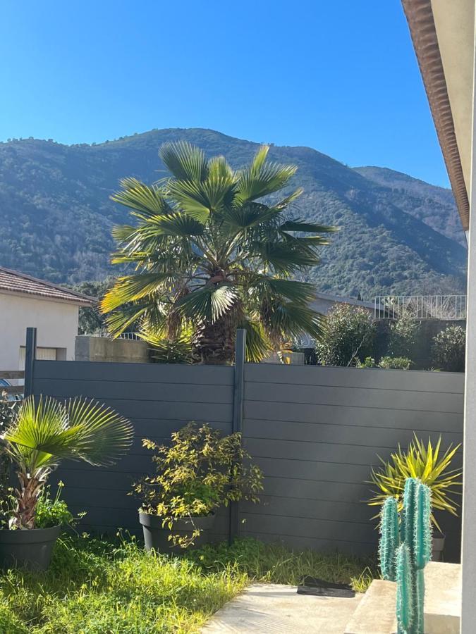 Maison T1 Bis Corse لوسيانا المظهر الخارجي الصورة